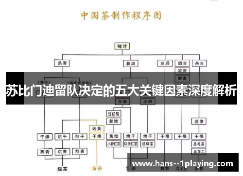 苏比门迪留队决定的五大关键因素深度解析